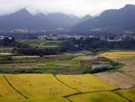 南郷谷の段丘地形